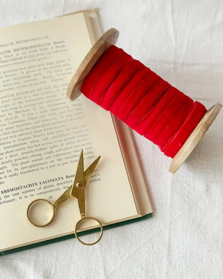 Velvet Ribbon & Scissors Set